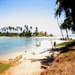 Duas Barras Beach & Marapé Dunes Full-Day Tour - The Practicalities: What You Should Know