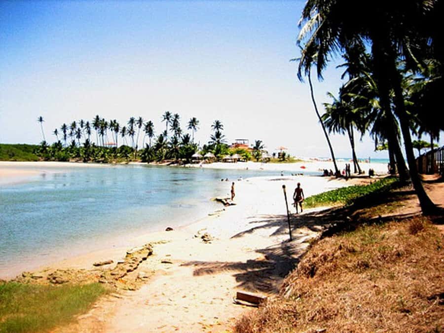 Duas Barras Beach & Marapé Dunes Full-Day Tour - The Practicalities: What You Should Know