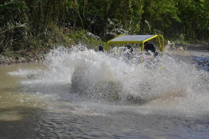 Dune Buggies Adventure - Why Choose This Tour?