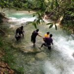 Dune Buggies Experience and Mayfield falls - Why This Tour Stands Out
