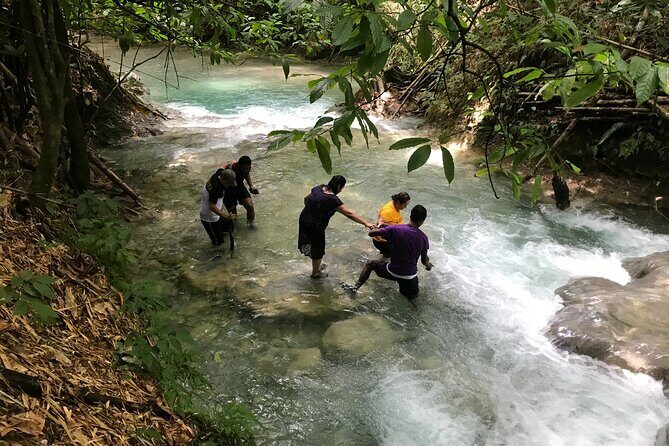 Dune Buggies Experience and Mayfield falls - Why This Tour Stands Out