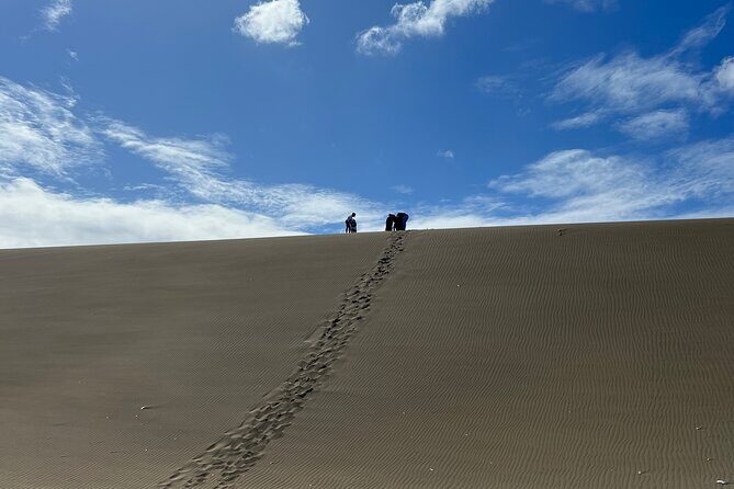 Dunes Snorkeling Tour Outside Santo Domingo - A Deep Dive into the Dunes Snorkeling Tour