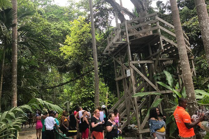 Dunns River & BlueHole Tour Includes Entry Fees - Final Thoughts on Value and Experience