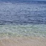 Dunn's River Falls and Blue Hole Combo Tour From Ocho Rios & Runaway Bay - Who Should Book This Tour?