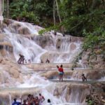 Dunn's River Falls and Blue Hole Private Tour from Ocho Rios - What Makes This Tour Stand Out?