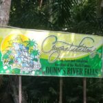 Dunn's River Falls and Blue Hole Private Transportation - Why Choose This Tour? Who Will Love It?