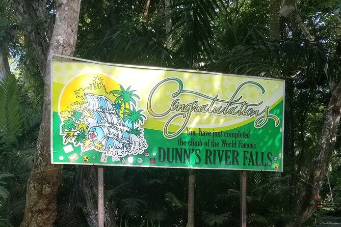 Dunn's River Falls and Blue Hole Private Transportation - Why Choose This Tour? Who Will Love It?