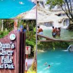 Dunn's River Falls and Bob Marley Mausoleum - Who Should Book This Tour?