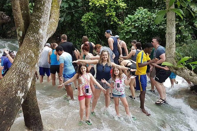 Dunn's River Falls and Fern Gully Highlight Adventure Tour from Kingston - Who Is This Tour Best For?