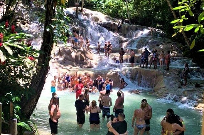 Dunn's River Falls and Fern Gully Highlight Adventure Tour from Runaway Bay - Who Will Love This Tour?