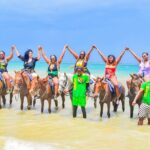 Dunn's River Falls and Horseback Riding Adventure Ocho Rios Ja - Additional Highlights