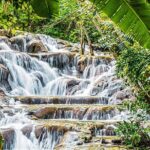 Dunns River Falls and Horseback Riding Tour from Montego Bay - What to Expect from the Experience