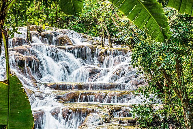 Dunns River Falls and Horseback Riding Tour from Montego Bay - What to Expect from the Experience