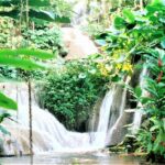 Dunn's River Falls and Ocho Rios Shopping Tour from Grand Palladium Resorts - Final Thoughts: Who Should Consider This Tour?