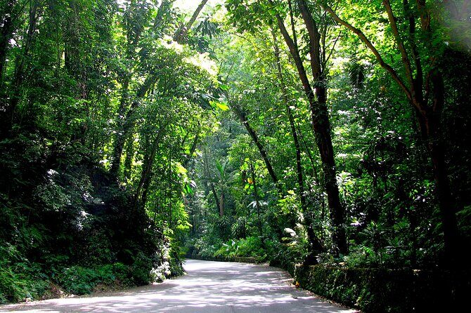 Dunn's River Falls and OchoRios Highlight View Scenic Fern Gully - FAQ