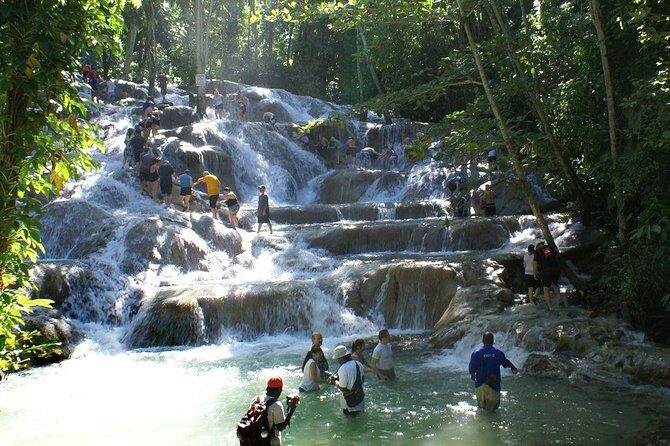 Dunns River Falls and Park Private Tour - Frequently Asked Questions