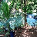 Dunns River Falls & Blue Hole in ocho Rios frm Negril/Montego Bay - Who Should Consider This Tour?
