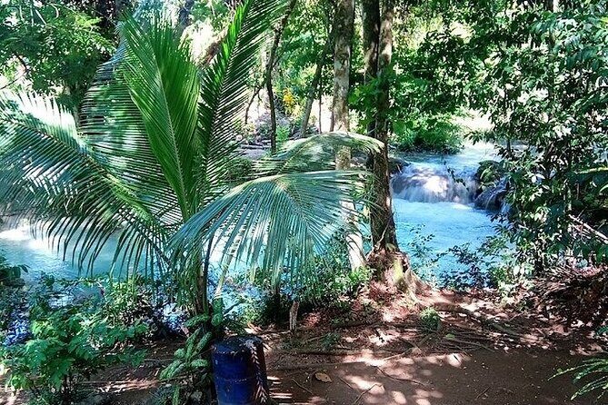 Dunns River Falls & Blue Hole in ocho Rios frm Negril/Montego Bay - Who Should Consider This Tour?