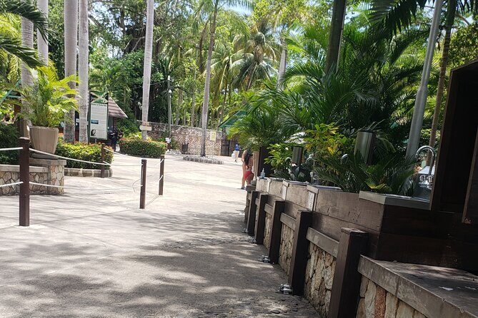 Dunn's River Falls & Blue Hole Tour from Montego Bay - The Logistics and What It Means for You