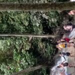 Dunn's River Falls From Falmouth - The Value of This Tour