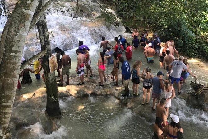 Dunn's River Falls From Montego Bay - Why This Tour Is a Great Choice