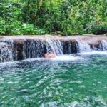 Dunn's River Falls & Luminous Lagoon Guided Tour with Admission from Falmouth - An In-Depth Look at the Dunn’s River Falls & Luminous Lagoon Tour