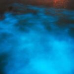 Dunn's River Falls plus Luminous Lagoon (Glistening Water)Private Tour - Frequently Asked Questions