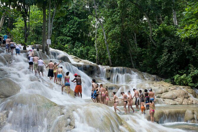 Dunns River Falls Private Tour ** {Entry Tickets Included }** - Final thoughts: Is this tour for you?