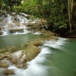 Dunn's River Falls Private Tour from Montego Bay - A Detailed Look at the Dunns River Falls Private Tour
