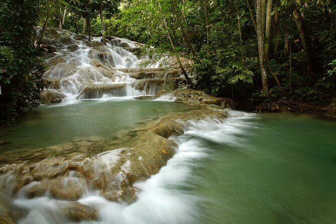 Dunn's River Falls Private Tour from Montego Bay - A Detailed Look at the Dunns River Falls Private Tour