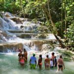 Dunns River Falls Tour from Montego Bay - Why Choose This Tour?
