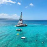 Dunn's River Falls with Catamaran Cruise Tour from Montego Bay - Who Should Consider This Tour?