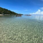 Dunns River Falls With Private Transportation from Montego Bay - Frequently Asked Questions