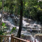 Dunn's River Falls, Zipline Adventure from Kingston - Final Thoughts: Who Will Love This Tour?