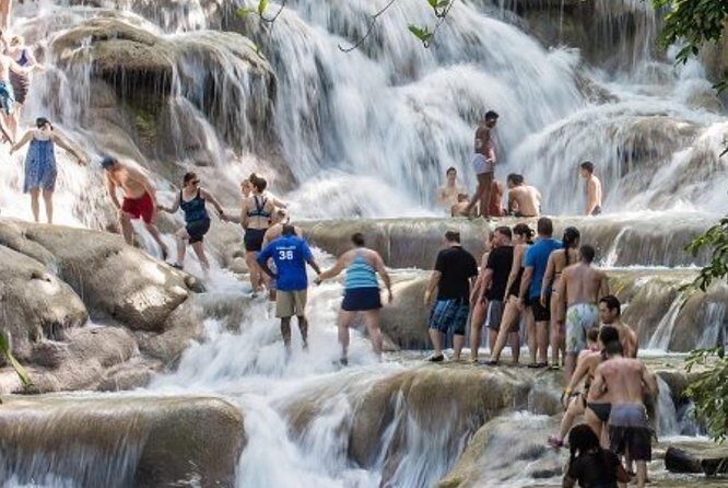 Dunn's River from Runaway Bay - An In-Depth Look at the Dunns River from Runaway Bay Tour
