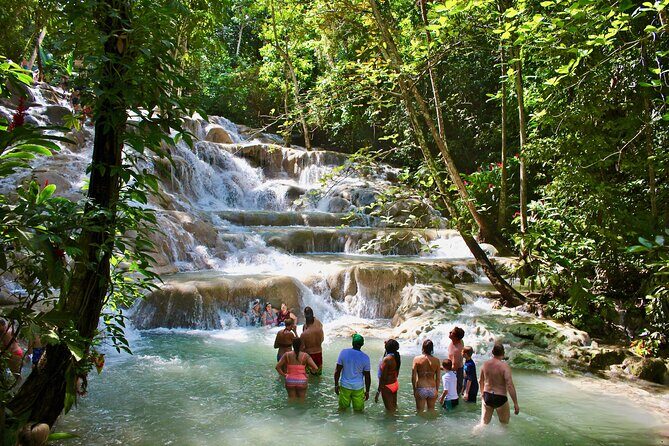 Dunn's River Private Tour from Montego Bay - An In-depth Look at the Dunns River Private Tour