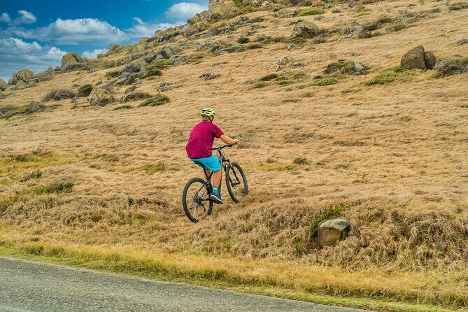 E-Bike Rental from Cruise Ship Terminal - Who Should Consider This Tour?