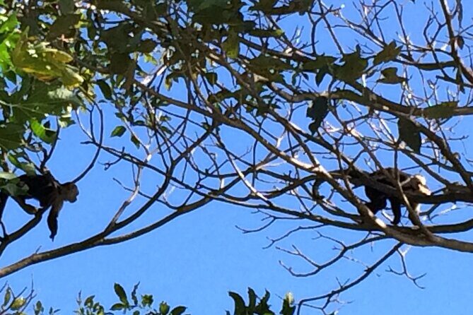 E-MTB Las Pilas Waterfall Tour - A Closer Look at the E-MTB Las Pilas Waterfall Tour