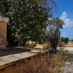 e-Scavenger hunt by car or scooter: 'Explore the Rincon Valley' - What Travelers Can Expect