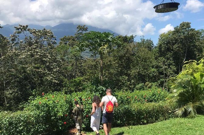 Early Morning Bird Watching Tour - The Sum Up