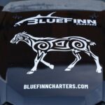 East ATV Tour in Curacao - Who Should Consider This Tour?