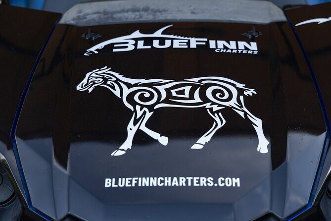 East ATV Tour in Curacao - Who Should Consider This Tour?