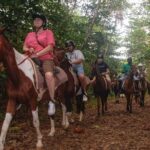 East Coast Horseback Riding & Waterfall Excursion - The Sum Up