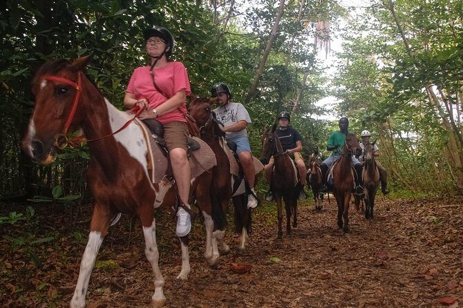 East Coast Horseback Riding & Waterfall Excursion - The Sum Up