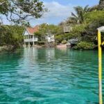 East Side Mangrove Tunnel wildlife encounter private Adventure - What Makes This Tour Stand Out