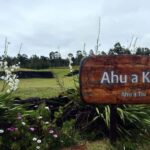Easter Island: Half-Day Archaeology Tour - A Closer Look at the Experience