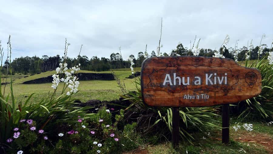 Easter Island: Half-Day Archaeology Tour - A Closer Look at the Experience