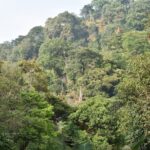 Easy half-day hike to gorgeous waterfalls in Minca - Why This Tour Stands Out