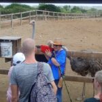 Eco & City Tour - Deep Dive into the Stops