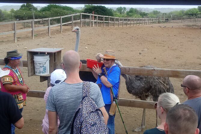 Eco & City Tour - Deep Dive into the Stops